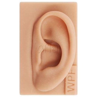 Orelha de Silicone Acupuntura Auricular Resistente, Ótimo Acabamento Prática Auriculoterapia em Oferta na Shopee