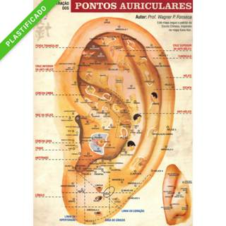 Mapa Pontos Auriculares - Acupuntura Auricular, Auriculoterapia A4 Plastificado em Oferta na Shopee