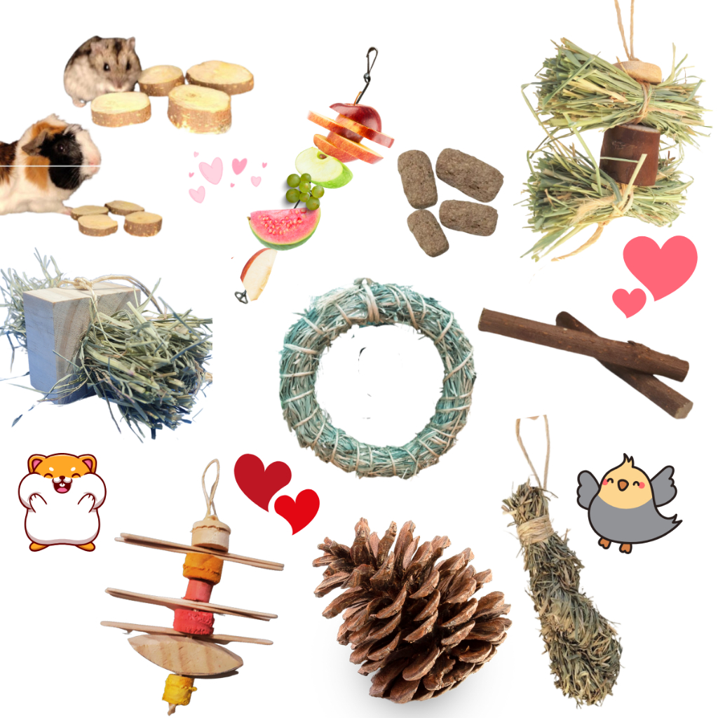10 Brinquedo premium Natural para calopsita, hamster e roedores em Oferta na Shopee