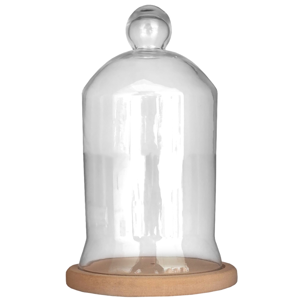 Cúpula de Vidro Grande: Onde Comprar | BuscaProdutos