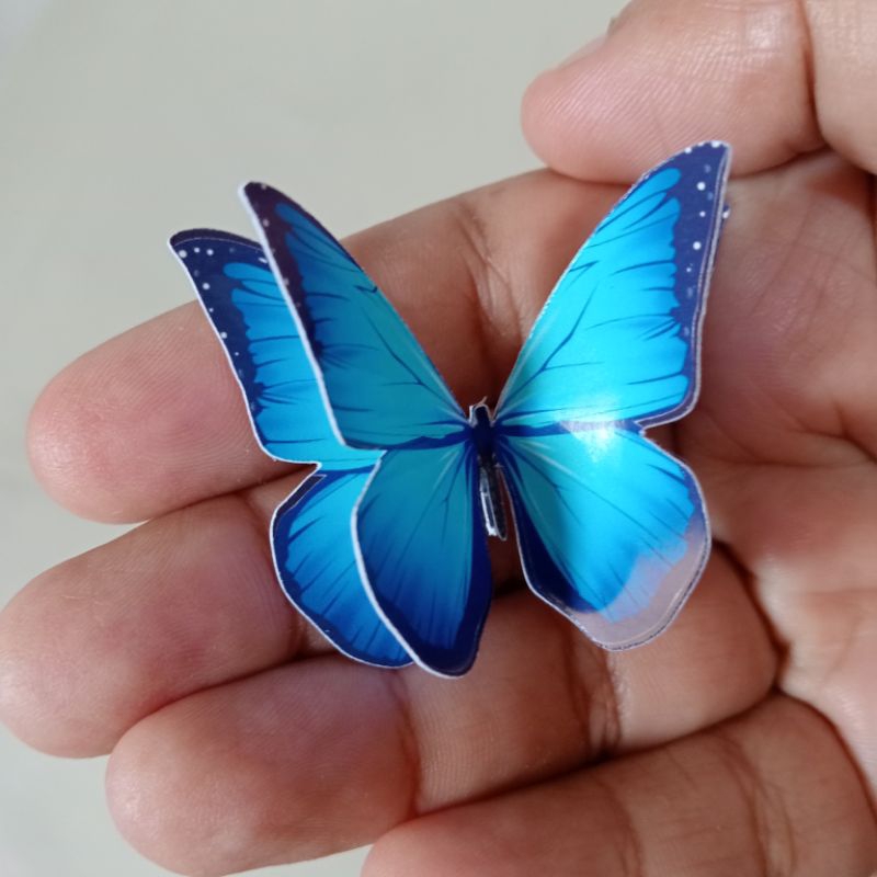 Bolo Borboleta Lils: Onde Comprar | BuscaProdutos