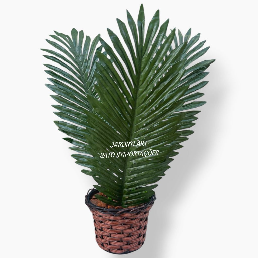 Arranjo Palmeira Coqueiro com 3 Folhas + Vaso trançado + Casca de Árvore + Argila Elegância para Seu Ambiente PT15
