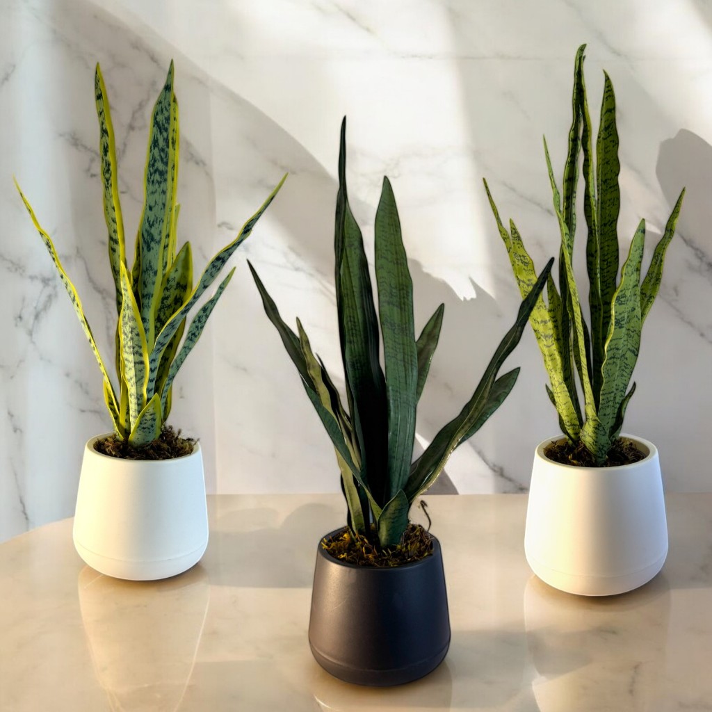 Planta Artificial Espada De São Jorge Ogum Iansã Decorativa Realista Toque Real Natural co...