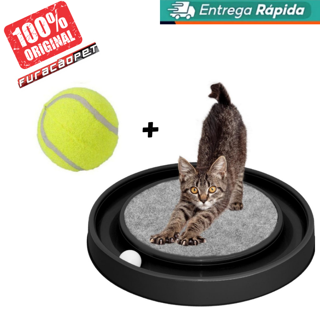 Poste Tênis: Guia Completo e Onde Comprar | BuscaProdutos