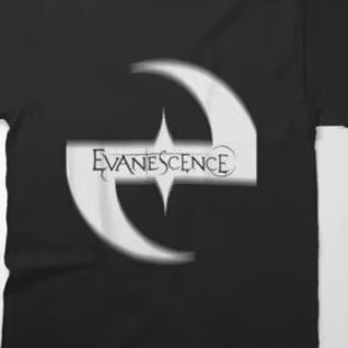 Baby Look Evanescence Camisa Algodão T-shirt Musica Show Tour Banda Tumblr Metal Alternativ hard Rock Little Arkansas Fã