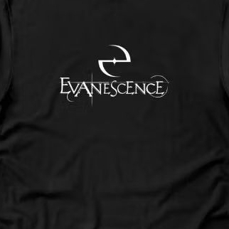 Baby Look Evanescence Logo Camisa Algodão T-shirt Musica Show Banda Tumblr Metal Alternativo hard Rock Little Arkansas F