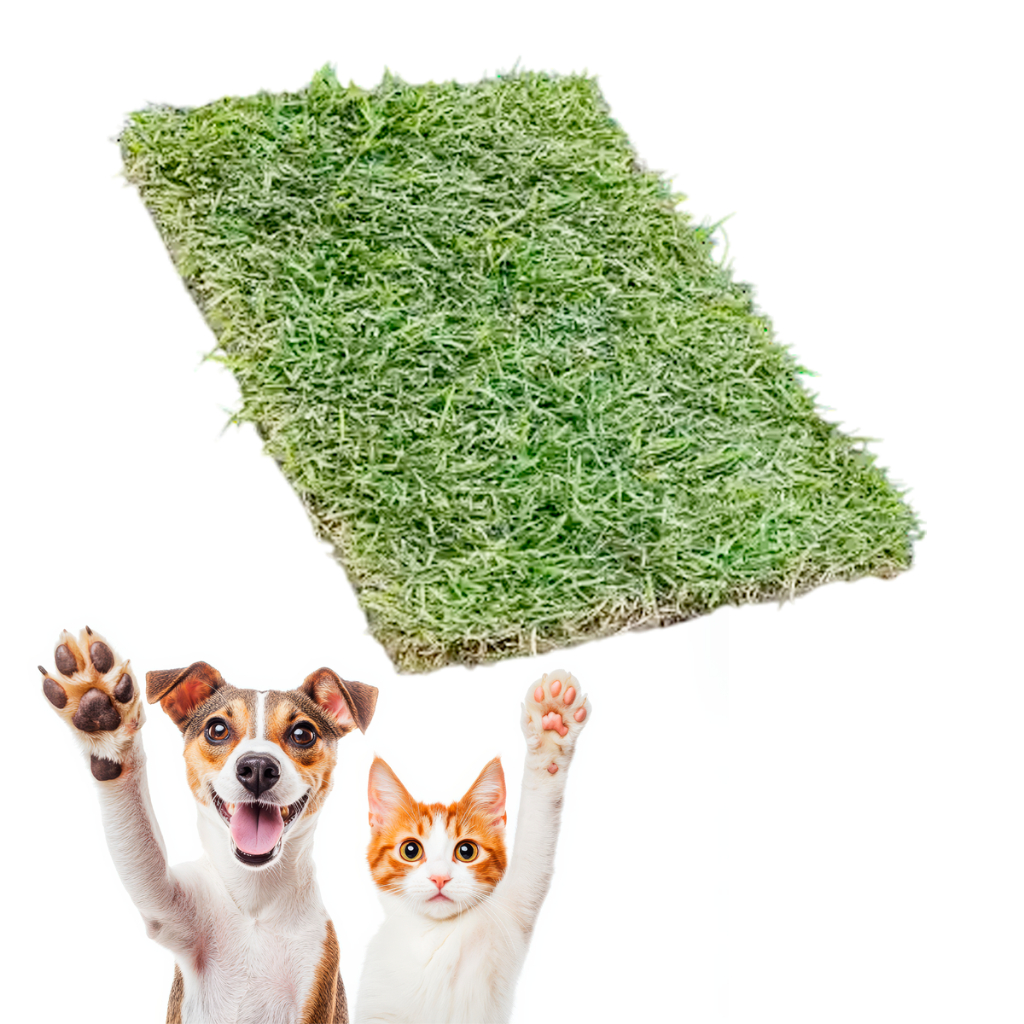 Refil Tapete Grama Refil Natural Higienico Pet Gato Cachorro 30x40cm