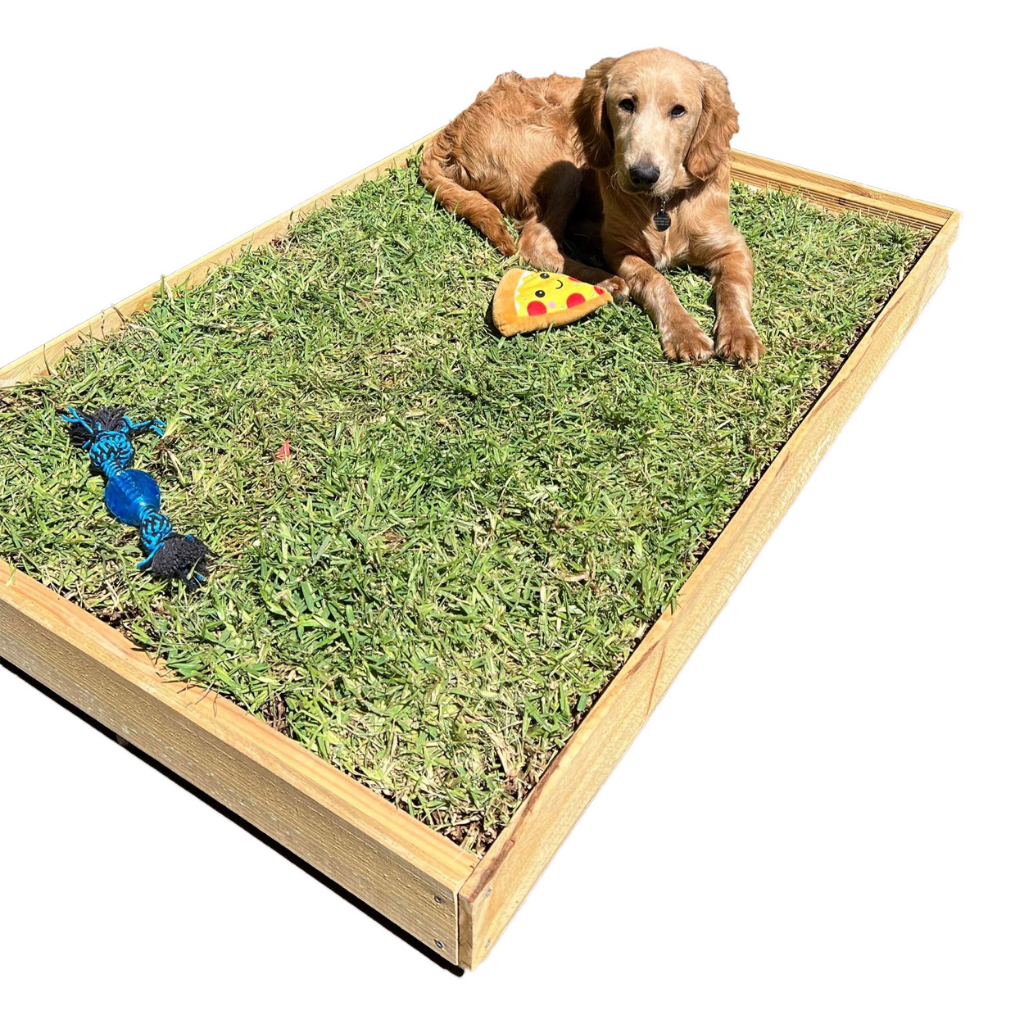 Sanitário Canino Xixi Dog Banheiro Pet Suporte Higiénico de Grama Cães Gatos Sem Grama 90x60x9