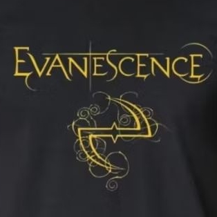 Baby Look Evanescence Logo Amarelo Camisa FMN Algodão T-shirt Musica Show Tour Banda Tumblr Metal Alternativo hard Rock