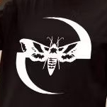 Baby Look Evanescence Borboleta Camisa Algodão T-shirt Musica Show Tour Logo Banda Tumblr Metal Alternativo hard Rock Fã