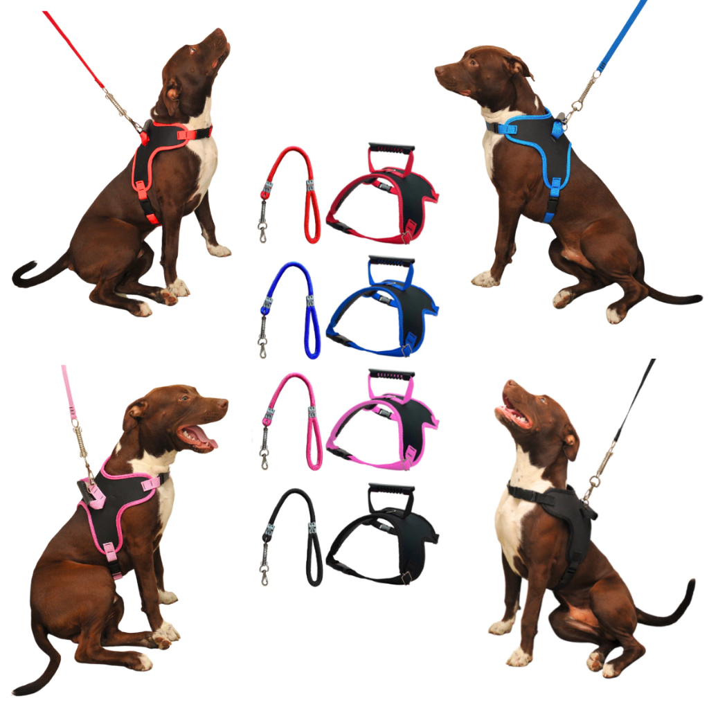 Guia E Peitoral COM Amortecedor P Cães TAMANHO M e G e SEM amortecedor p cães TAMANNHO P - Passeio, adestramento coleira