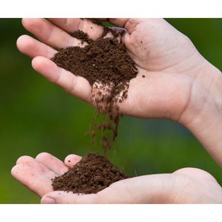 Terra Vegetal Organica Adubada 1 kilo em Oferta na Shopee