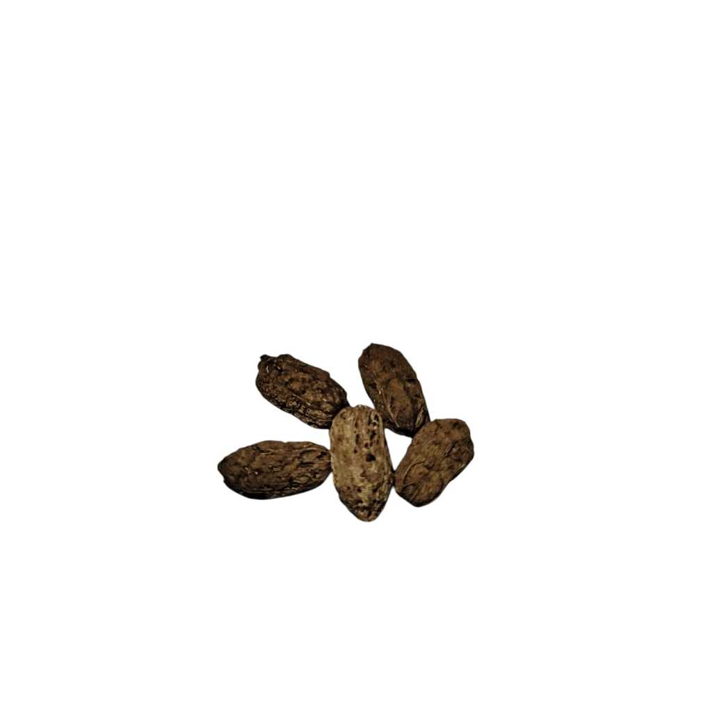 FAVA DE EXU 5 UN
