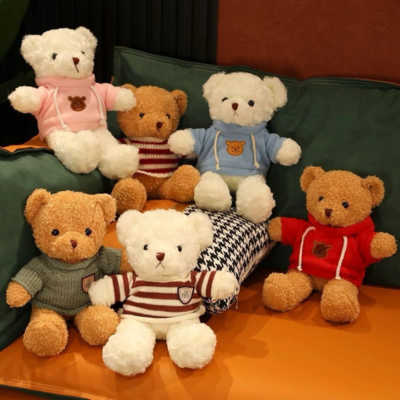 Urso de pelúcia Teddy de 10 polegadas com roupa removível, Bonito Presente de Graduação, em Oferta na Shopee