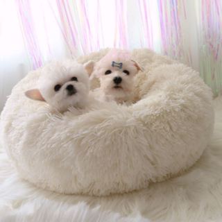 Caminha Cama Nuvem Donuts Pet Redonda Pelúcia Pelos Cães E Gatos Tamanho M Super Fofinha Fofa Macia em Oferta na Shopee