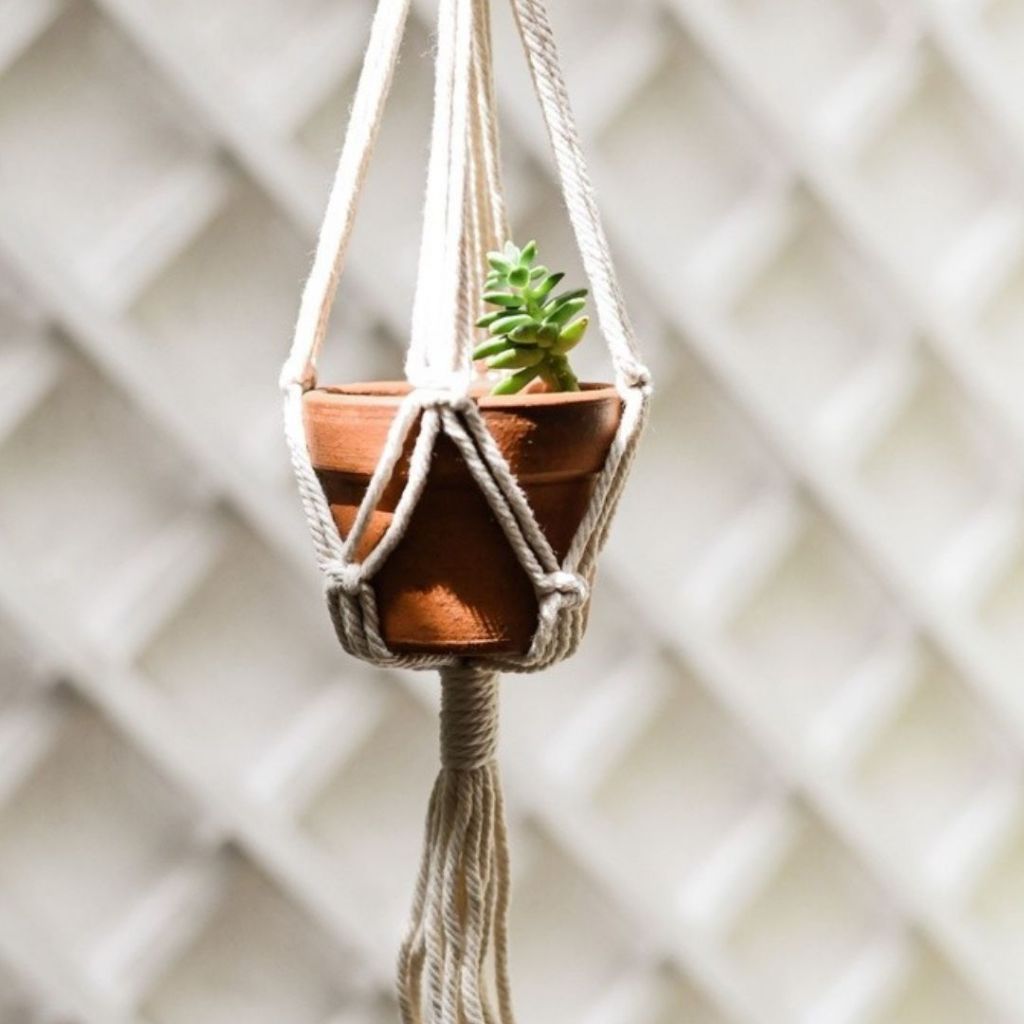 Cordao Suporte Suspenso Para Vaso Cachepot Plantas Macrame