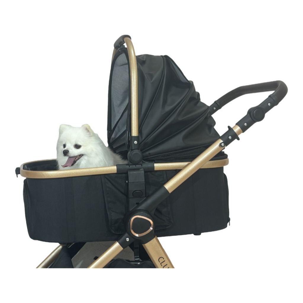 Carrinho Pet Europeu 3em1 Golden Club Luxo Cães Gatos Passeio Seguro Dobrável Leve