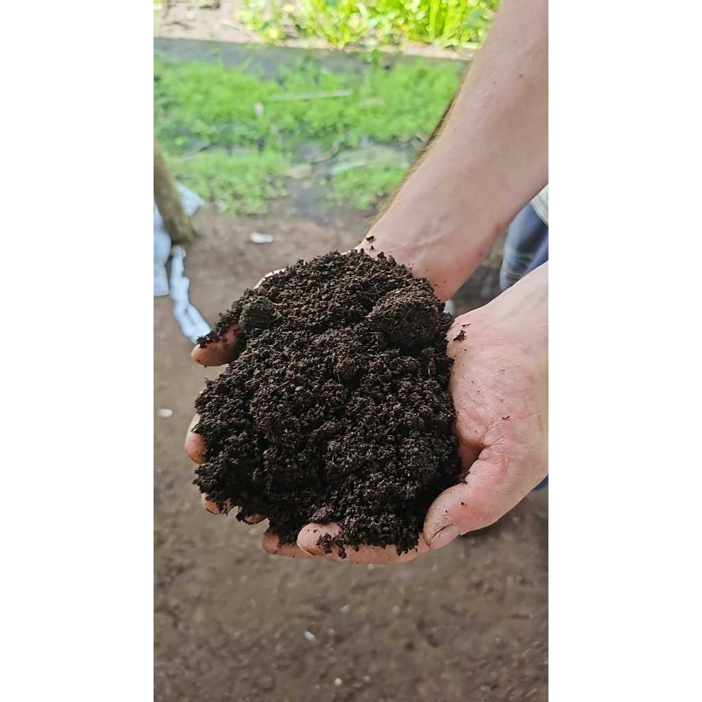 O que é Húmus de Minhoca para Jardinagem? Guia e Onde Comprar | BuscaProdutos