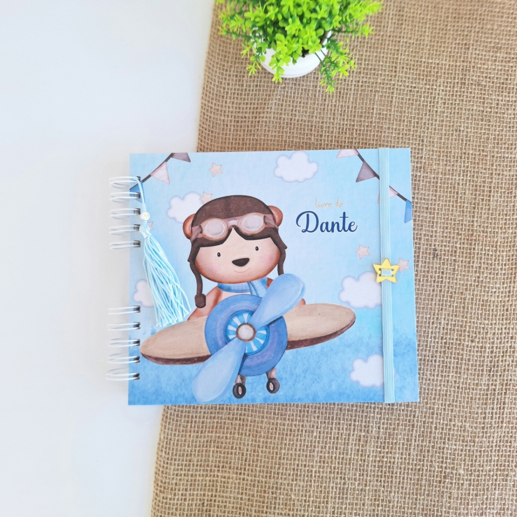 Livro do bebê Ursinho aviador