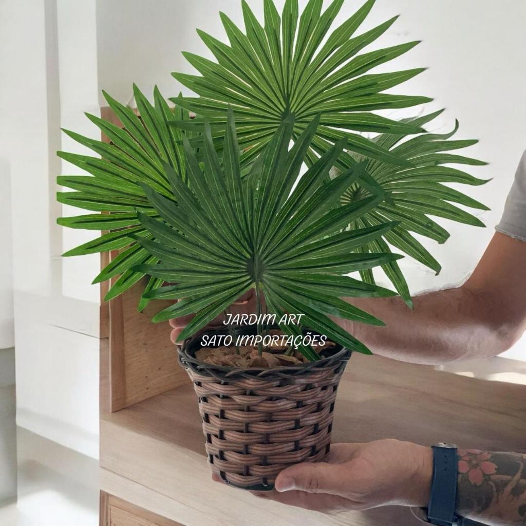 Tropical Chic: Palmeira-LEQUE no Vaso Trançado para Ambientes Sofisticados