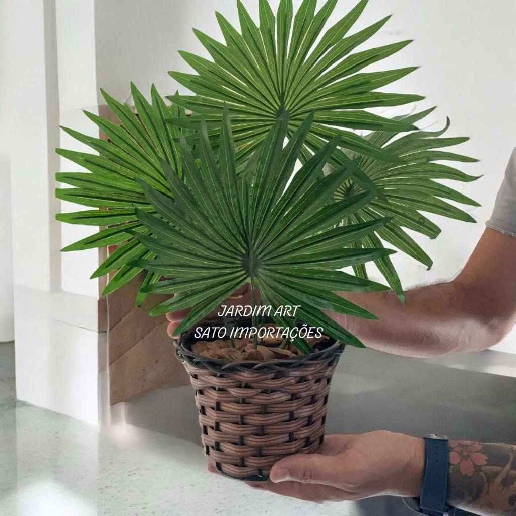 Verde Exuberante: Palmeira-LEQUE Decorativa no Cesto Trançado