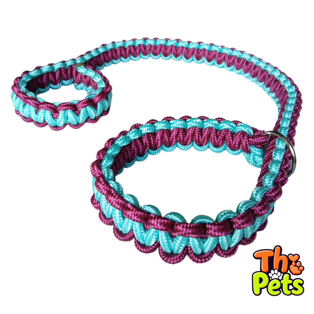 Guia Unificada Cachorro: Onde Comprar | BuscaProdutos