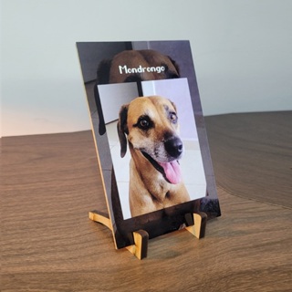 Quadrinho pet 10x15 Personalizado com Nome em Oferta na Shopee