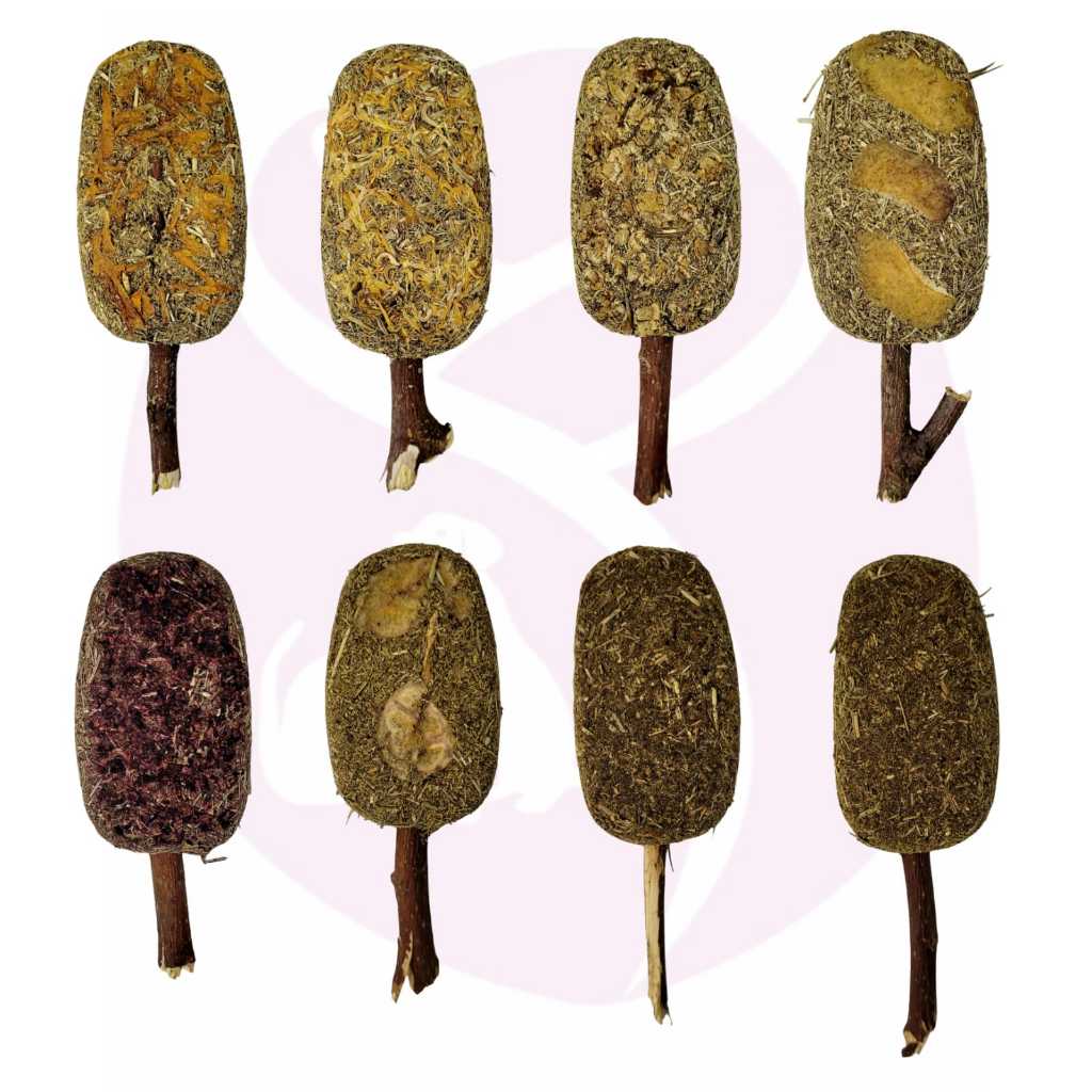 Sorvete De Feno Saborizado com Galho De Amora Para Roedores (Coelho, Porquinho da Índia, Chinchila...) 1 Unidade