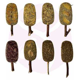 Sorvete De Feno Saborizado com Galho De Amora Para Roedores (Coelho, Porquinho da Índia, Chinchila...) 1 Unidade em Oferta na Shopee