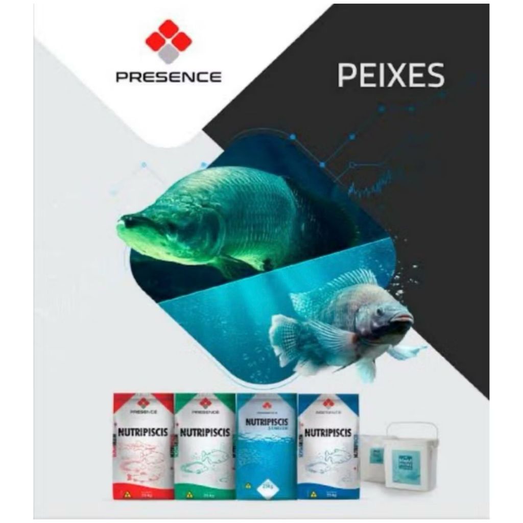 2KG Ração 4mm Para Peixes Engorda Tilápia Pacu Tambaqui Carpas Ornamentais Alevino Grão, 36% de Proteína