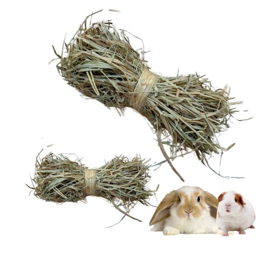 Kit Brinquedo De Feno Coast Cross Premium Para Coelhos Porquinhos Da Índia Chinchilas