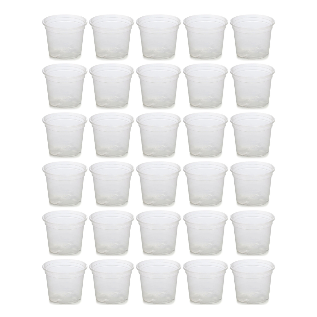 Kit 24 Vasos Transparentes Plástico Orquídea Adulta Pote 15 Com Furos Incolor