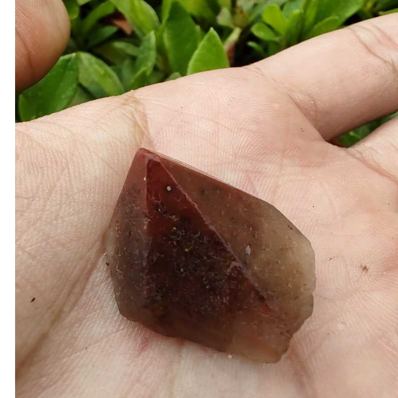 Ametista Premium Aurelite Red Cap Cacoxenites, Pedra com altíssimo poder energético 6/12 Gr. 4/5 cm de comprimento