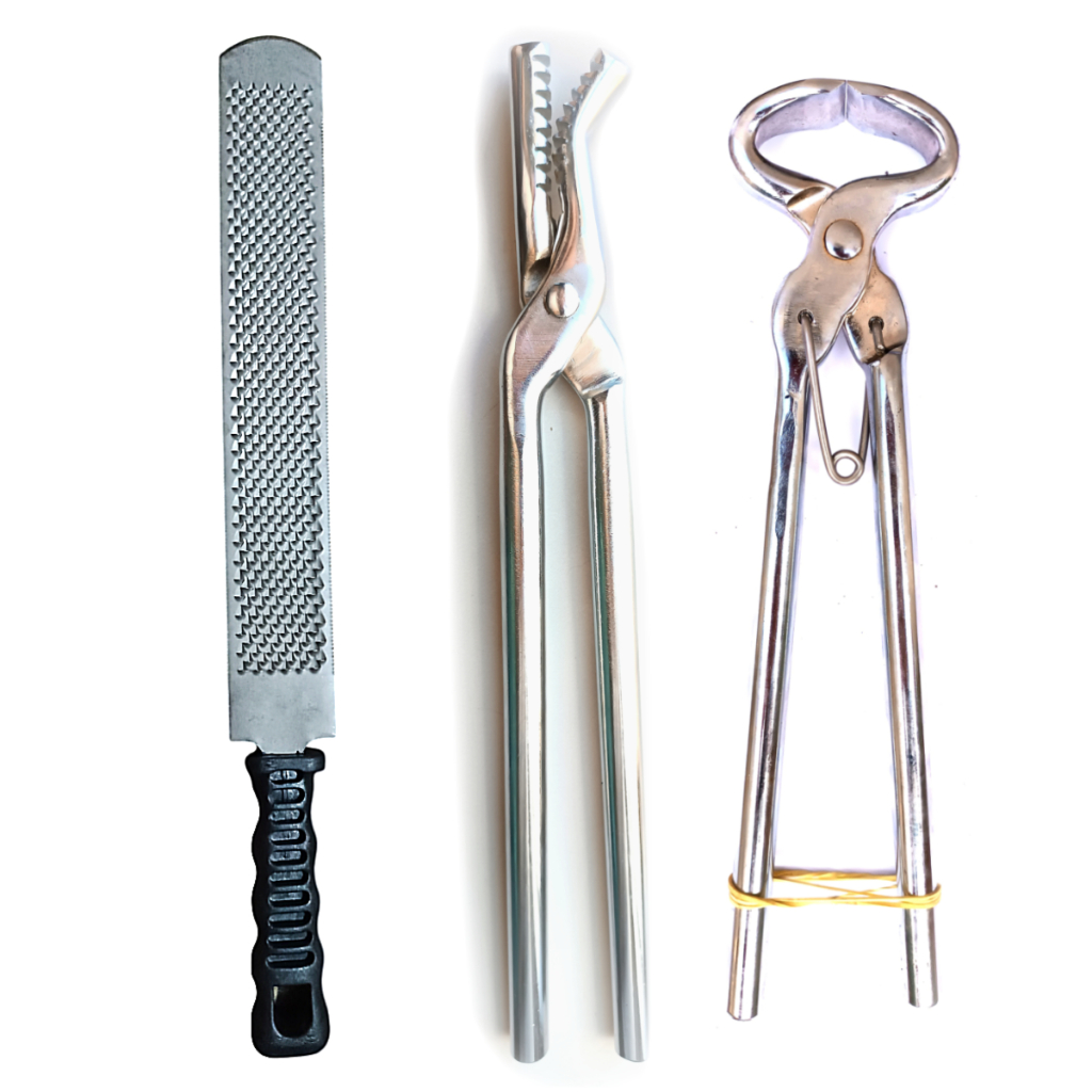 Kit Ferrador Ferrar Cavalo Casqueamento Grosa Alicate Jacaré Torques Inox Menor Preço — R$ 299,90 em Shopee