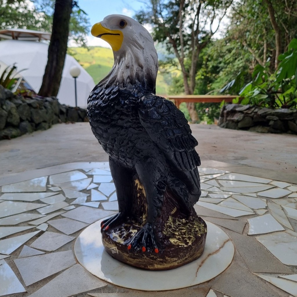 Gavião Águia Espanta Pombo Pássaros Pardal Maritaca 36 cm Envernizado Exclusivo