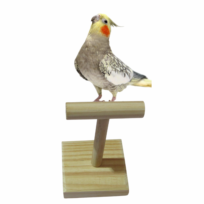 Poleiro Móvel Para Treinamento Pesagem Fotos Calopsitas Periquito Rinq Neck Papagaio Birds Pets em Oferta na Shopee