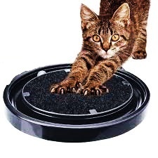 Arranhador Interativo Antiestresse para Gatos com Bolinha Varias Cores