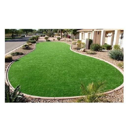 10.000 Sementes Grama Bermuda Folha Fina De Jardim Para Muda- Envelope 3g em Oferta na Shopee