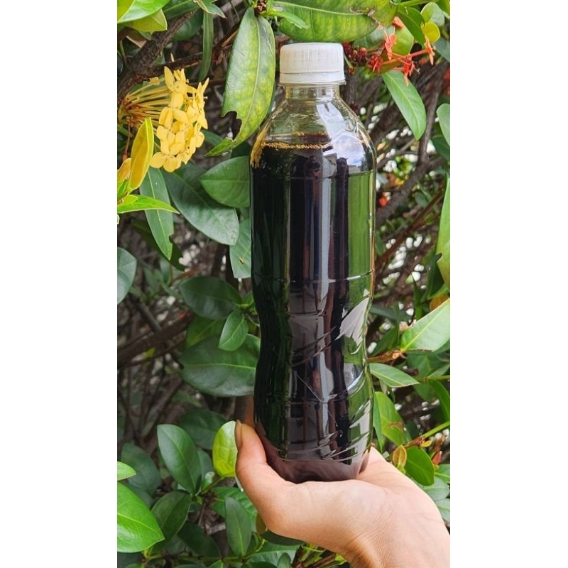 500mL Húmus líquido concentrado de minhoca californiana