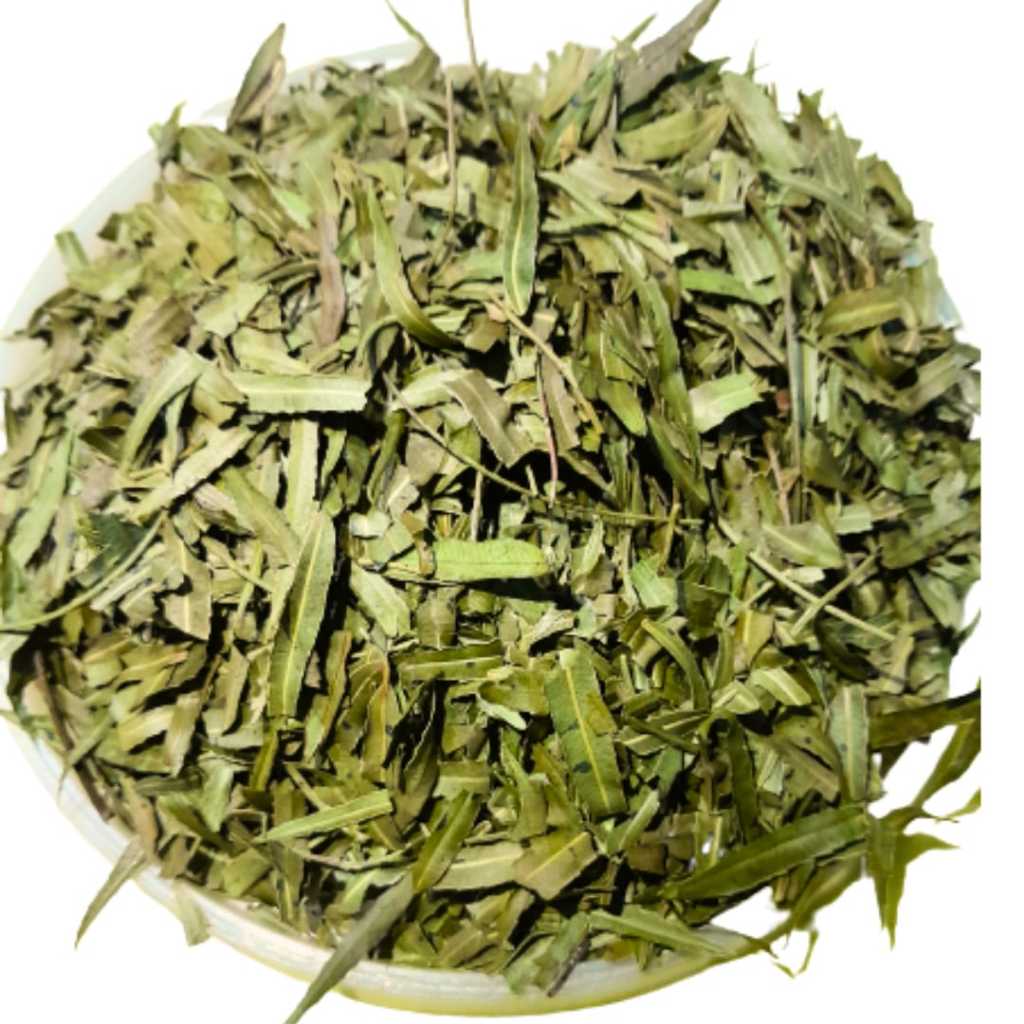 Chá de folhas de Aroeira salsa-Schinus molle