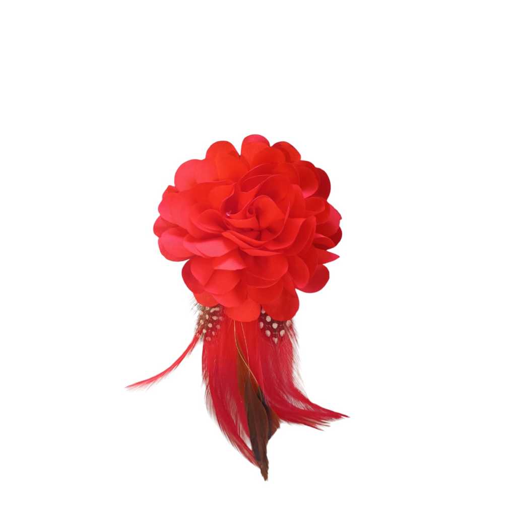 Rosa Vermelha Rabo de Galo.