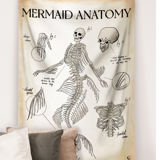 Panô Bandeira Tapeçaria Canga Hippie Mermaid Anatomy em Oferta na Shopee