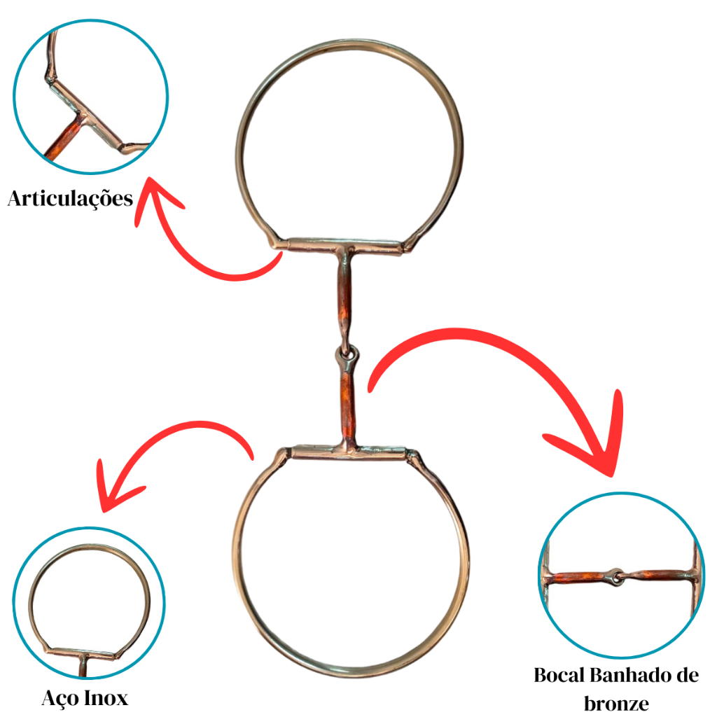 Bridao Argola Grande: Onde Comprar | BuscaProdutos