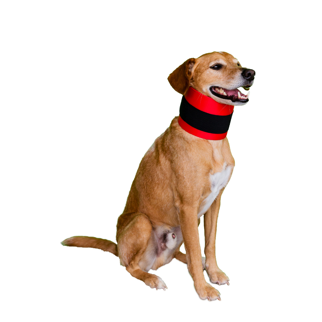 Colar Cervical para Cachorros Cães Confortável Tecido Pet Designer