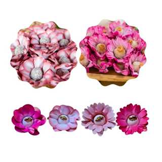 400 Forminhas para Doces Finos Modelo Margarida e Peonia em papel em Oferta na Shopee
