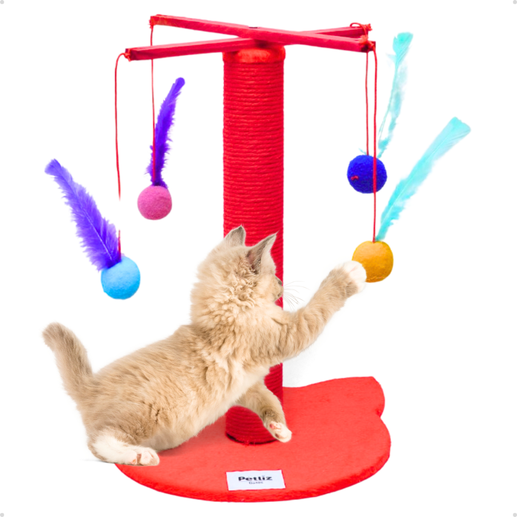 Brinquedo Arranhador Anti Stress Gatos Cara de Gato Interativo Sisal E Madeira Pop ou Premium Petliz em Oferta na Shopee