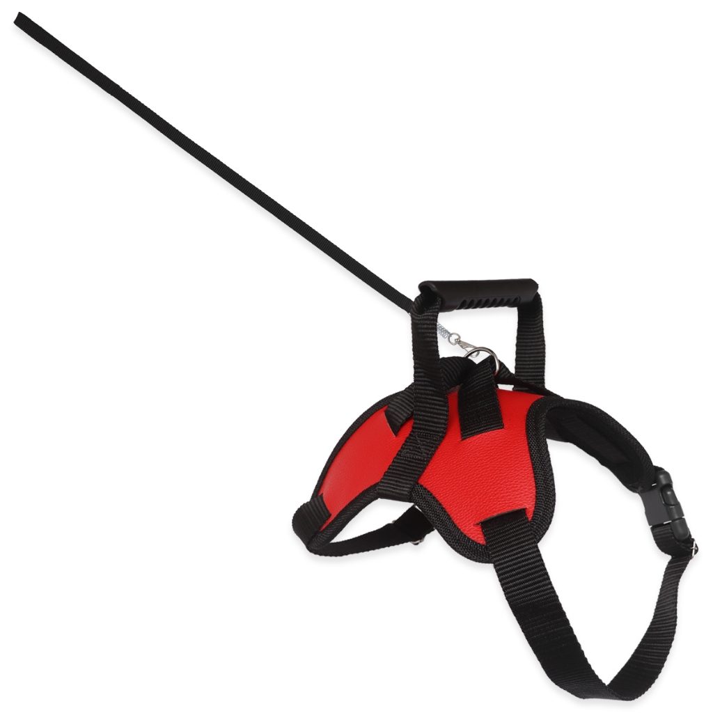 Peitoral Pit Bull Reforçado Resistente Ideal Para Cachorros Forte Varias Cores Oferta