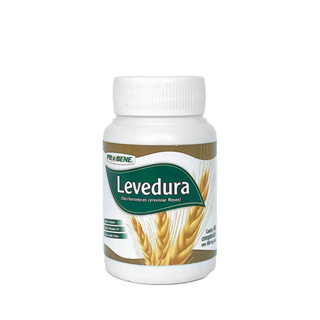 Levedura De Cerveja 500mg 250 Comprimidos - Probene em Oferta na Shopee