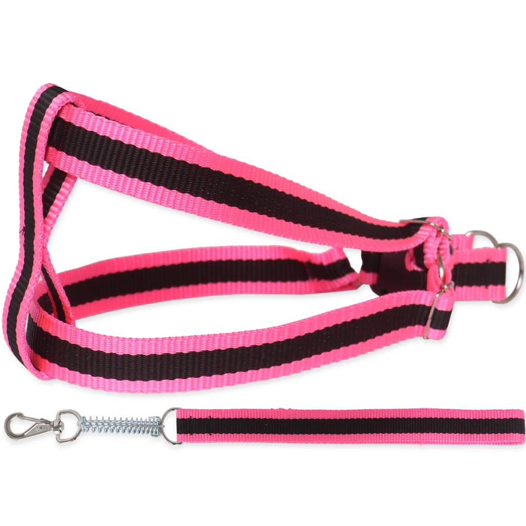 Coleira Cachorro Peitoral Guia Regulagem Pitbull Golden Fita Dupla Ajustável — R$ 27,60 em Shopee