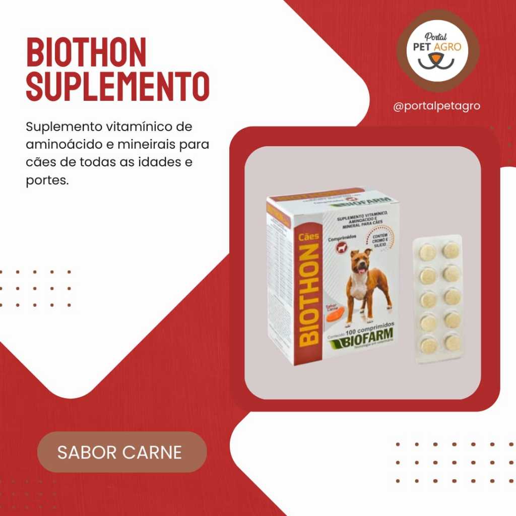 Biothon Suplemento VItamínimo Aminoácidos e Minerais - 10 comprimidos